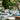 Bee Ecru Tableware Collection