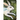 A notebook with a cover featuring a colorful illustration of a rabbit surrounded by greenery and a blue ribbon.