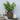 Decorative setting with a vase of greenery, candles, and books against a textured wall.