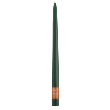 Root Candles 12” Dipped Taper in Dark Green