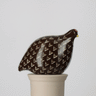 Small black hen with white markings