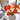 Large Silk Poppy Flower Stem 41" Tall