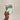 Hand holding a plantable seed paper envelope with illustrations of a birthday party scene on a beige background.