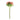 Napa Home & Garden - Hydrangea Stems