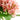 Napa Home & Garden - Hydrangea Stems