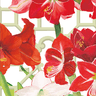 Red and white flowers with green stems on a white background