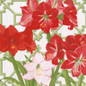 Pattern of red and pink flowers with green leaves on a white background