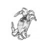 Salisbury Pewter Crab Magnet