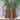 Lighted Grapevine Cone Trees- Set of 3