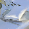 Garnier Thiebaut Beauregard White Napkins